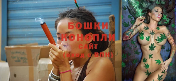 крисы Зеленокумск