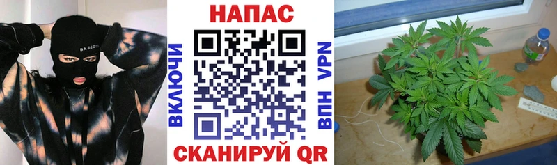 Купить  Горно-Алтайск  Бошки марихуана White Widow 